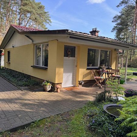 Ferienhaus Im Wald Borkwalde Εξωτερικό φωτογραφία