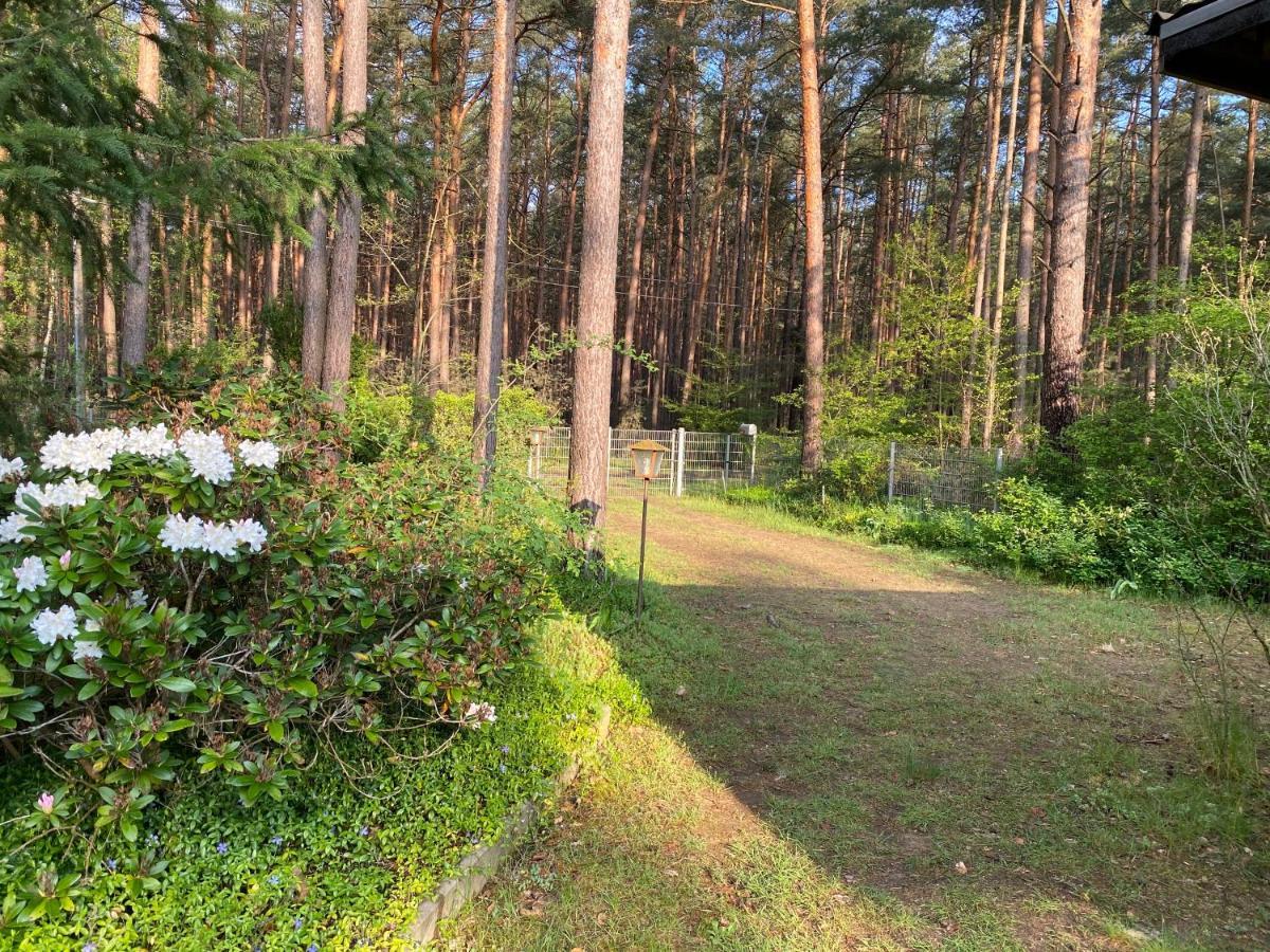 Ferienhaus Im Wald Borkwalde Εξωτερικό φωτογραφία