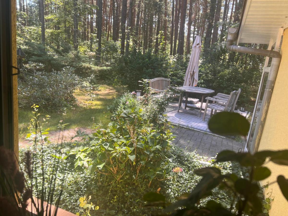 Ferienhaus Im Wald Borkwalde Εξωτερικό φωτογραφία