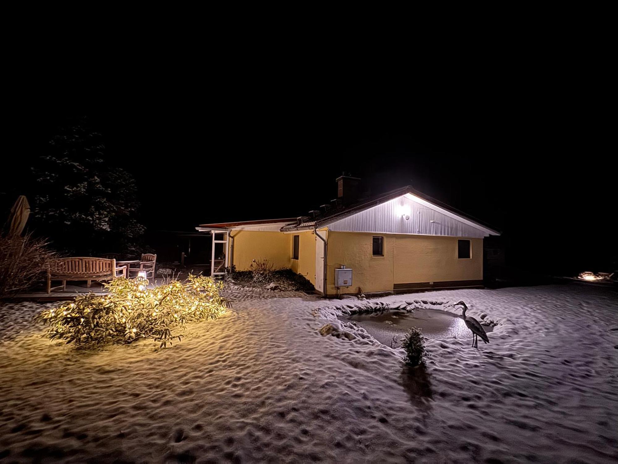 Ferienhaus Im Wald Borkwalde Εξωτερικό φωτογραφία